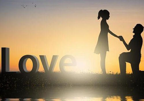 惠州市商务调查